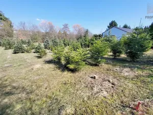 Prodej pozemku pro bydlení, Popůvky, 971 m2