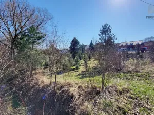 Prodej pozemku pro bydlení, Popůvky, 971 m2