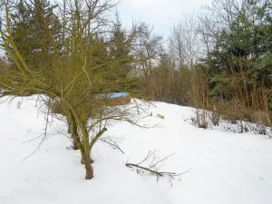 Prodej rodinného domu, Ledeč nad Sázavou, Nad Lesem, 248 m2