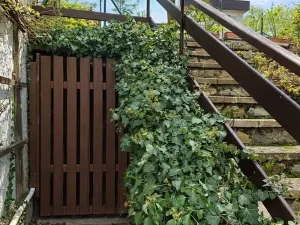 Prodej chaty, Čakov, 34 m2