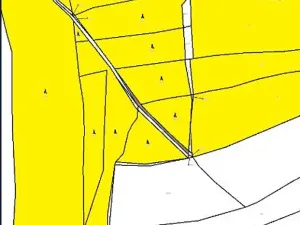 Prodej lesa, Červená Řečice, 308 m2