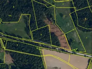 Prodej lesa, Červená Řečice, 214 m2