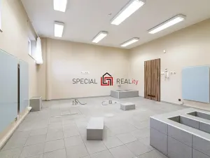 Prodej ordinace, Ostrava, U Staré elektrárny, 123 m2