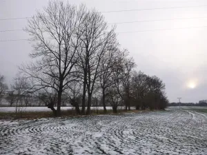 Dražba pole, Nová Sídla, 66956 m2