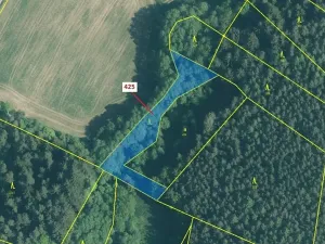 Dražba lesa, Kuřimany, 1719 m2