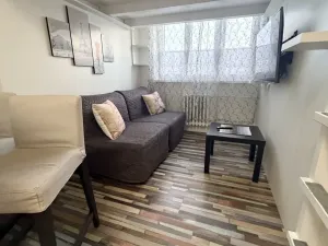 Pronájem bytu 1+1, Hrušovany u Brna, Žižkova, 31 m2