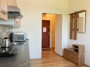 Pronájem bytu 1+1, Ostrava, Nádražní, 34 m2