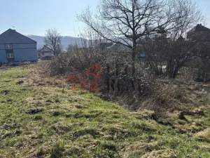 Prodej pozemku pro bydlení, Ludvíkovice, 3129 m2