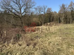 Prodej pozemku pro bydlení, Ludvíkovice, 1100 m2