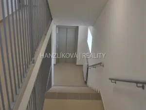 Pronájem bytu 1+kk, České Budějovice - České Budějovice 2, Volejbalistů, 28 m2
