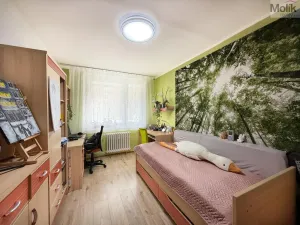 Prodej bytu 3+1, Krupka - Maršov, Dukelských hrdinů, 68 m2