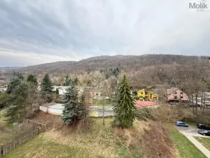 Prodej bytu 3+1, Krupka - Maršov, Dukelských hrdinů, 68 m2