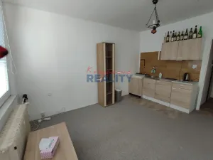 Pronájem bytu 1+kk, České Budějovice - České Budějovice 3, Plzeňská, 18 m2