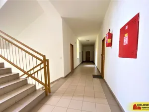 Pronájem bytu 1+1, Hodonín, 38 m2