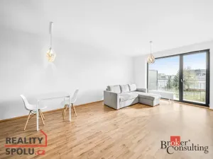 Pronájem bytu 2+kk, Plzeň - Jižní Předměstí, Železná, 60 m2