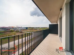 Pronájem bytu 2+kk, Plzeň - Jižní Předměstí, Železná, 60 m2