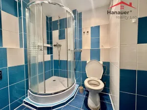 Pronájem bytu 1+kk, Děčín - Děčín III-Staré Město, Žerotínova, 22 m2