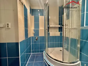 Pronájem bytu 1+kk, Děčín - Děčín III-Staré Město, Žerotínova, 22 m2