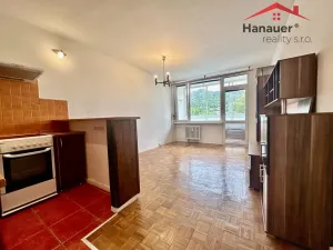Pronájem bytu 1+kk, Děčín - Děčín III-Staré Město, Žerotínova, 22 m2