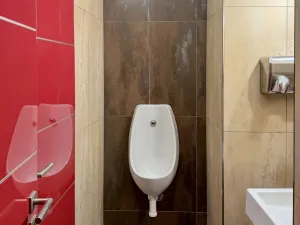 Prodej rodinného domu, Louny, Mírové náměstí, 530 m2