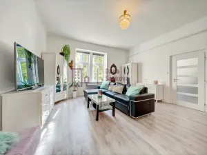 Prodej bytu 1+1, Jindřichův Hradec - Jindřichův Hradec II, Třebického, 47 m2