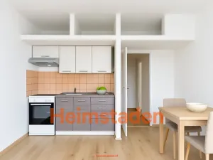 Pronájem bytu 1+kk, Ostrava - Zábřeh, Petruškova, 28 m2