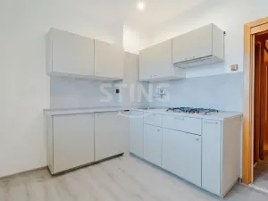 Prodej bytu 3+1, Opava, Vaškovo náměstí, 129 m2