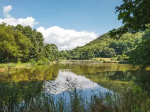 Prodej rybníku, Vojkovice - Jakubov, 105479 m2