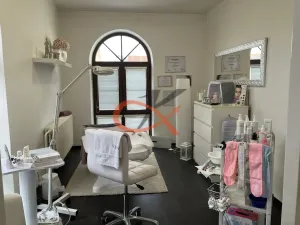 Prodej obchodního prostoru, Prostějov, Tylova, 2433 m2