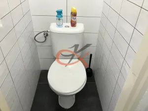 Prodej obchodního prostoru, Prostějov, Tylova, 2433 m2