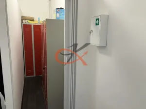 Prodej obchodního prostoru, Prostějov, Tylova, 2433 m2