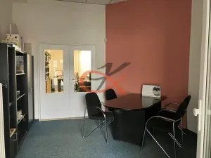 Prodej obchodního prostoru, Prostějov, Tylova, 2433 m2