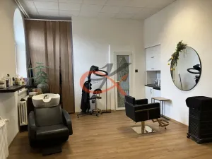 Prodej obchodního prostoru, Prostějov, Tylova, 2433 m2