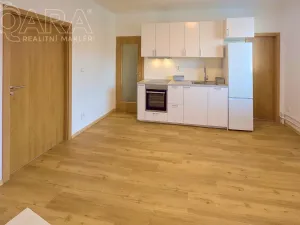 Pronájem bytu 3+kk, Praha - Vinohrady, Nad Primaskou, 56 m2
