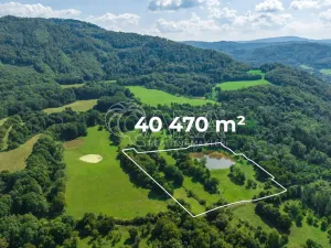 Prodej rybníku, Vojkovice - Jakubov, 40470 m2