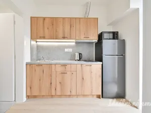 Pronájem bytu 1+1, Brno - Židenice, Bubeníčkova, 25 m2