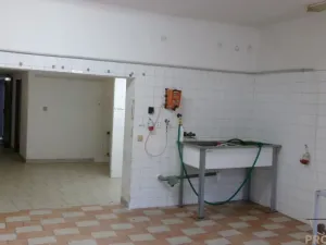 Pronájem skladu, Střelice, 120 m2