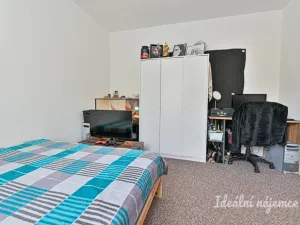 Pronájem bytu 2+1, Brno - Staré Brno, Úvoz, 55 m2