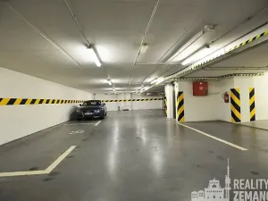 Pronájem bytu 2+kk, Praha - Vinohrady, Mánesova, 91 m2