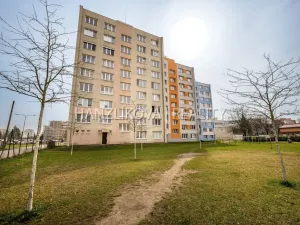 Prodej bytu 3+1, České Budějovice - České Budějovice 3, Jírovcova, 65 m2