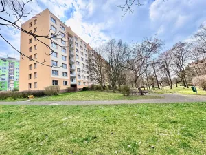 Pronájem bytu 2+1, Ústí nad Labem, Nová, 60 m2