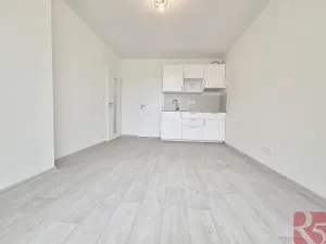 Pronájem bytu 1+kk, Praha - Nusle, Sdružení, 28 m2