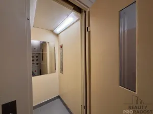 Pronájem bytu 1+1, Brno, Renčova, 45 m2