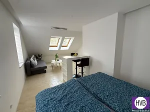 Prodej bytu 2+kk, Horní Planá, Palackého, 31 m2