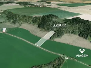 Prodej podílu pole, Střemošice, 1822 m2
