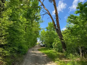 Prodej chaty, Hradištko, Stará cesta, 50 m2