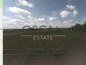 Prodej podílu pozemku pro bydlení, Přísnotice, 2772 m2