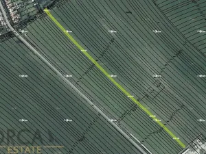 Prodej podílu pole, Prušánky, 840 m2