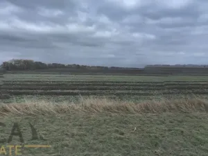 Prodej podílu pole, Prušánky, 840 m2