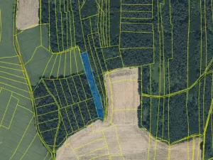 Prodej lesa, Blížejov - Lštění, 4624 m2